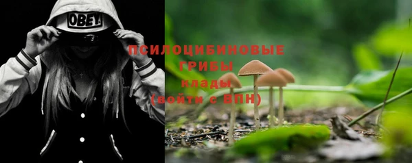 Альфа ПВП Верхний Тагил